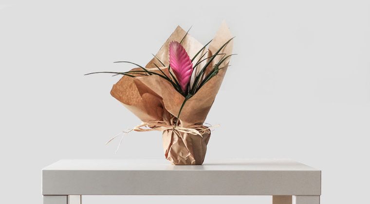 This season gallery of interior design homewares